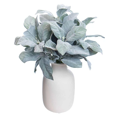 Lamb's Ear in Ceramic Pot, 12"