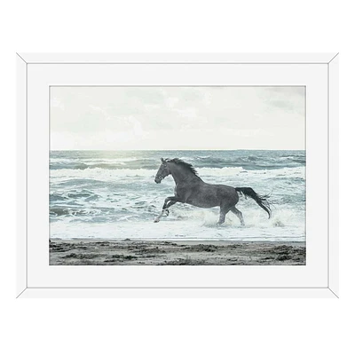 Glass Framed Horse On Beach Print Wall Art, 18x24