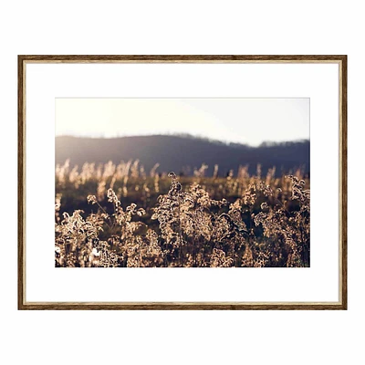 Framed Field Wall Art, 22x30