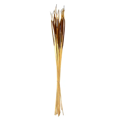 Dried Cattails Bundle