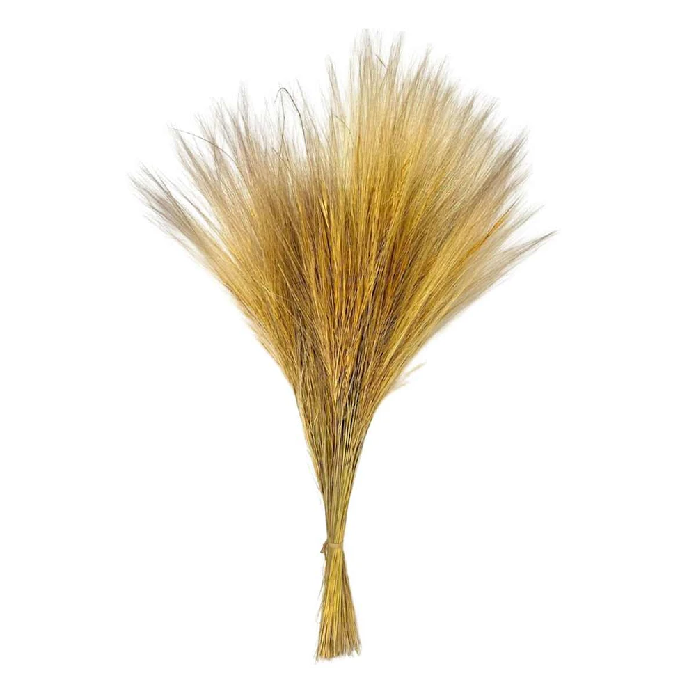 Dried Rainbow Grass Bundle Natural