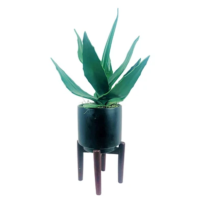 21In Agave Ceramic Stand