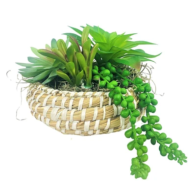 7In Succulent Garden Low Basket