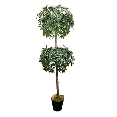 2-Ball Olive Tree Topiary, 5'