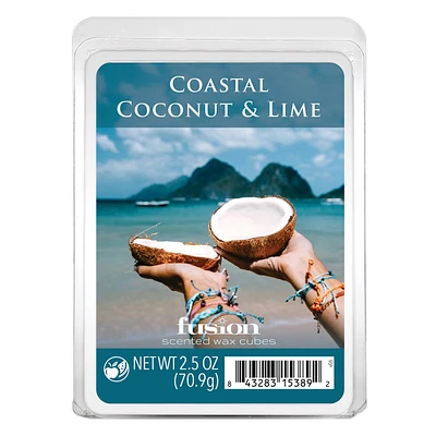 Coastal Coconut & Lime Scented Wax Melts, 2.5oz