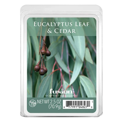 Eucalyptus Leaf & Cedar Scented Wax Melts, 2.5oz