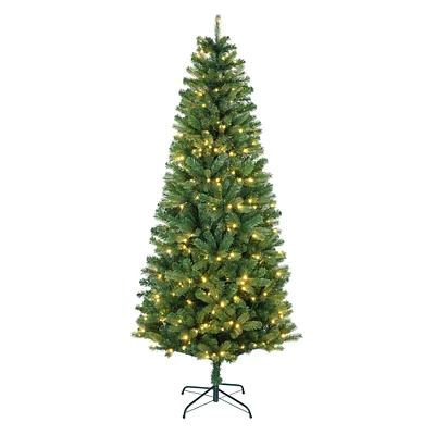 (B22) Pre-Lit LED Hardwicke Spruce Christmas Tree, 7'