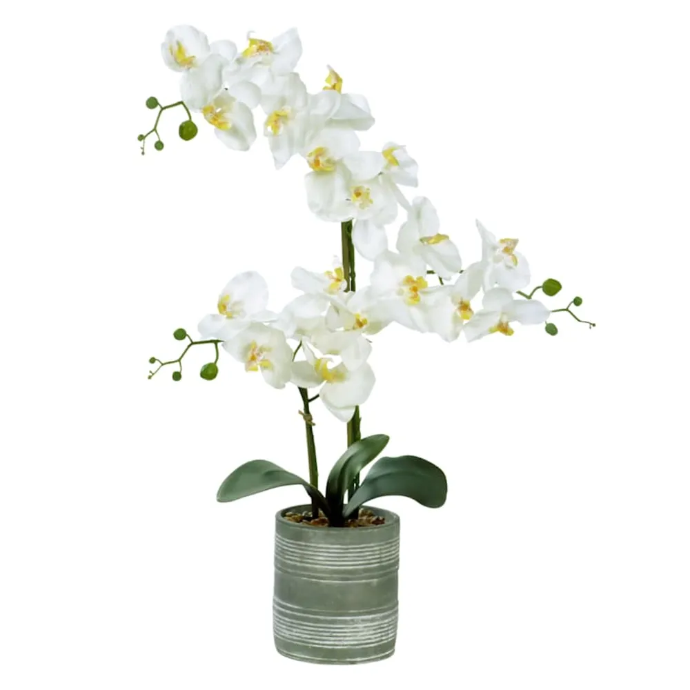 Orchid Flower with Ceramic Planter