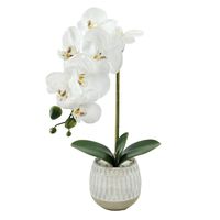 White Orchid Flowers with Ceramic Planter, 16"