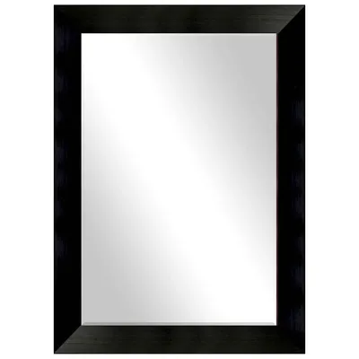 Skylar Black Rectangle Wall Mirror
