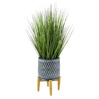 Grass Plant with Cement Planter