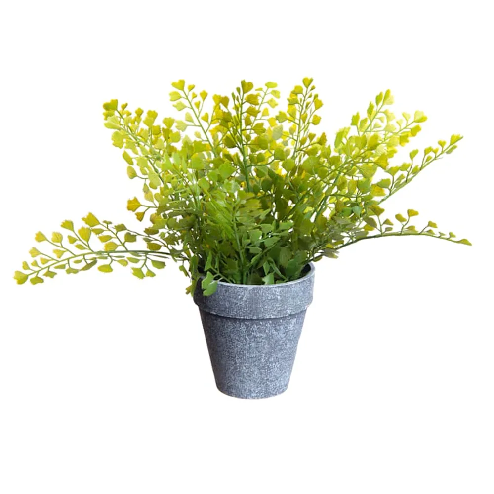 Faux Maidenhair Fern in Grey Ceramic Pot