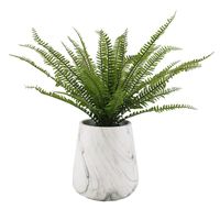 Fern with Marbled Planter, 23"