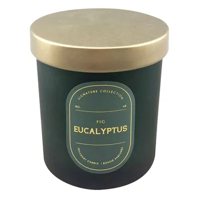 Fig Eucalyptus Scented Jar Candle