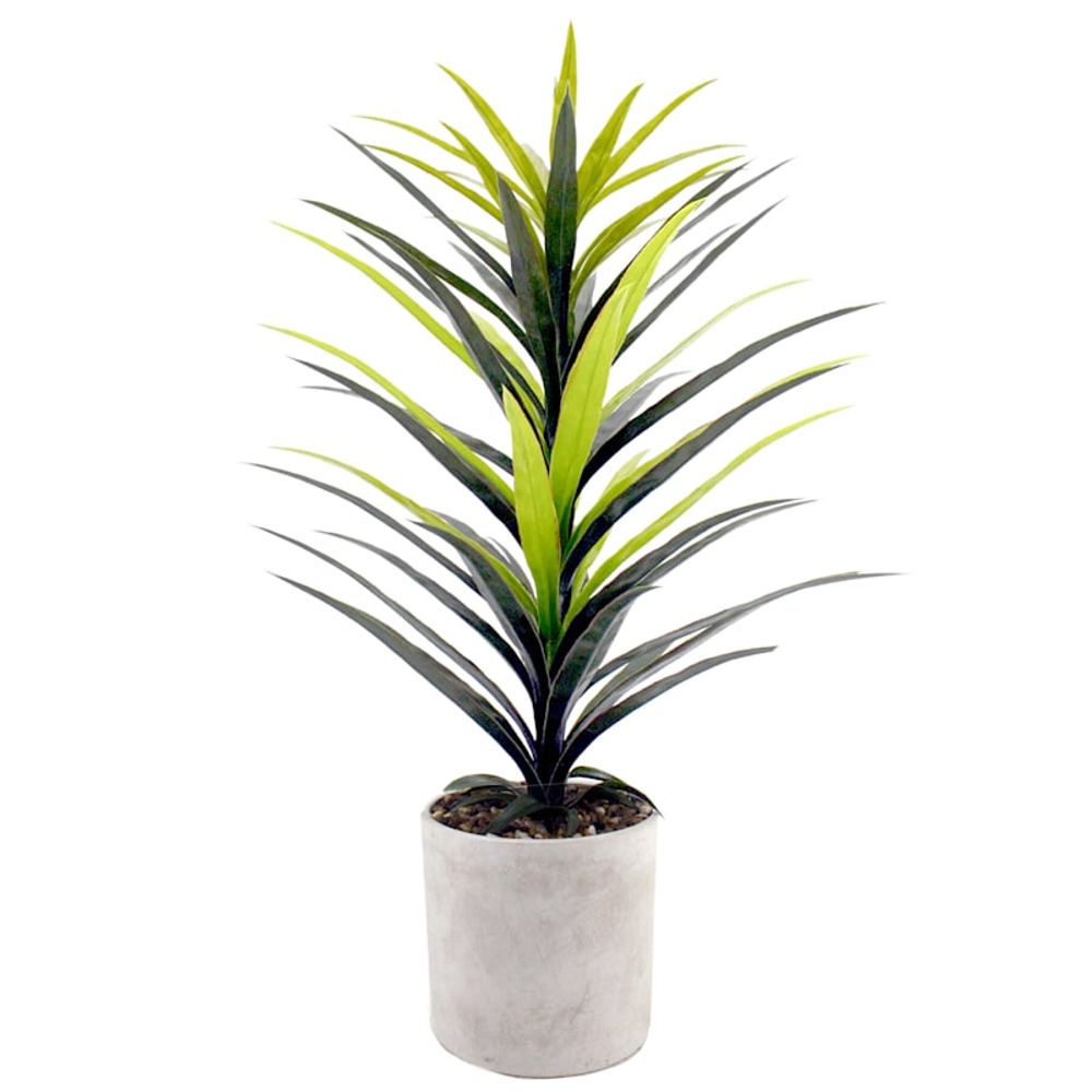 Yucca Tree with Cement Planter, 42"