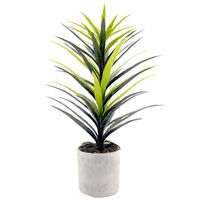 Yucca Tree with Cement Planter, 42"