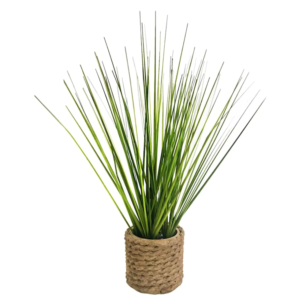 Mini Grass Plant with Planter, 11"