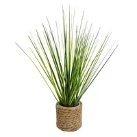 Mini Grass Plant with Planter, 11"