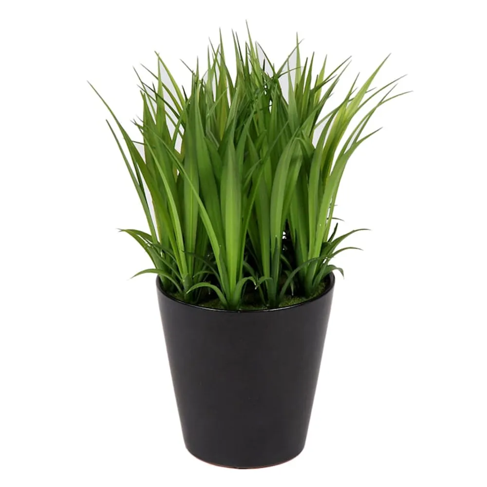 Grass Plant with Ceramic Planter