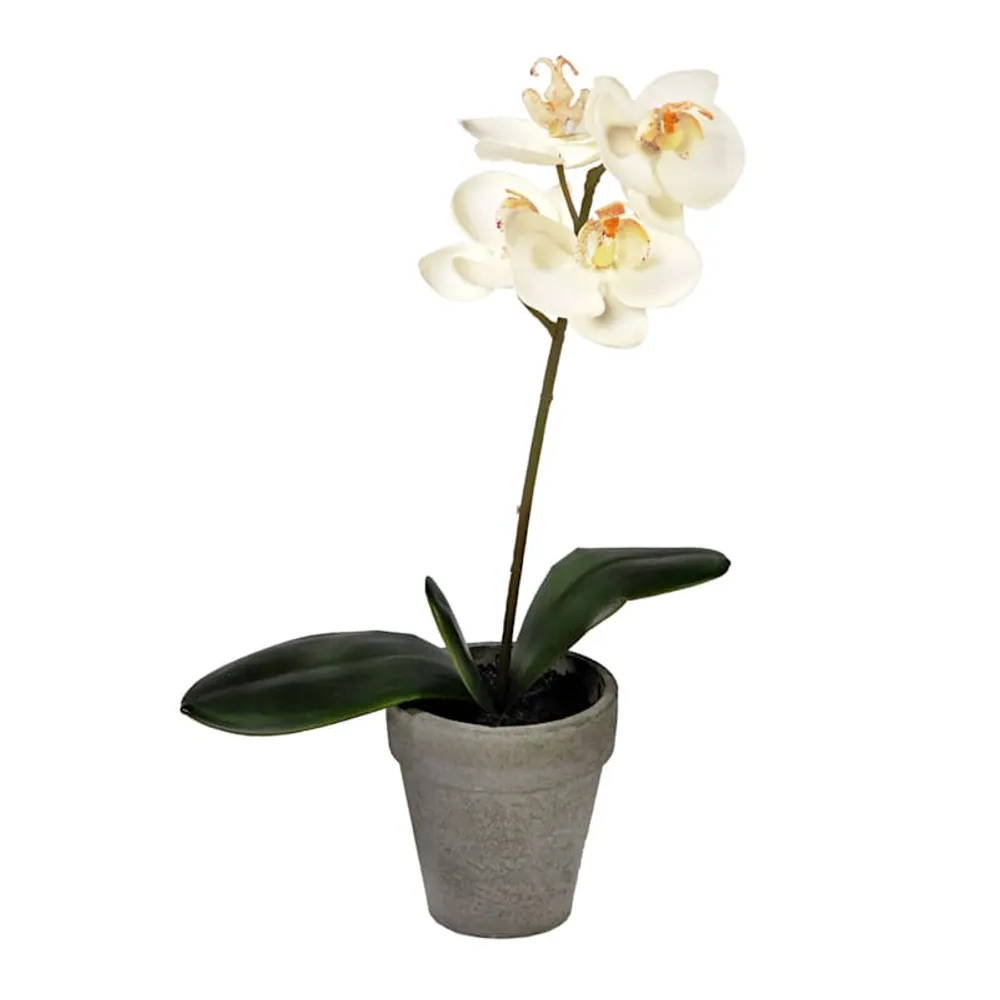 Orchid Flower with Planter