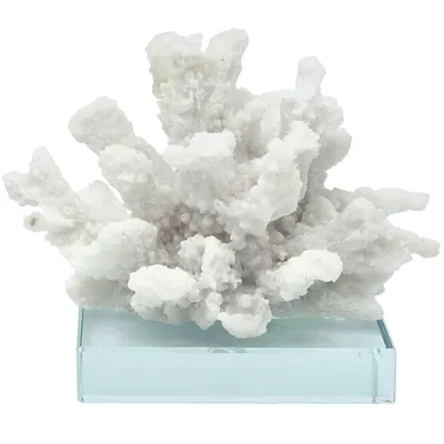 White Coral Figurine on Glass Base, 5"