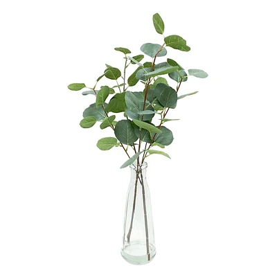 Eucalyptus Water Garden in Vase, 20"