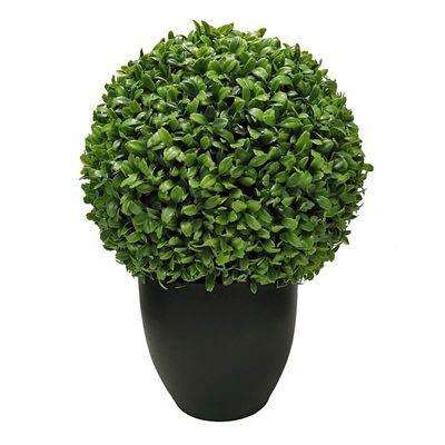 Boxwood Ball Plant with Planter