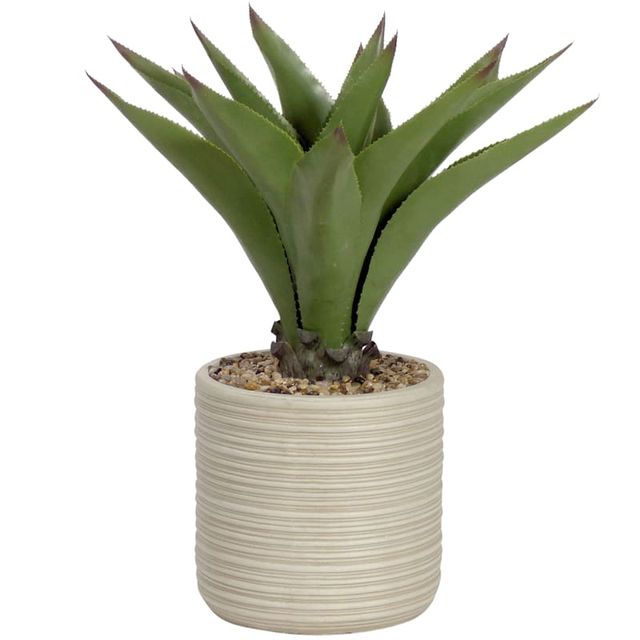 At Home Aloe with Taupe Textured Planter, | Green Tree