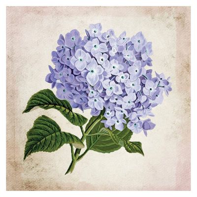 Floral Canvas Wall Art, 14"