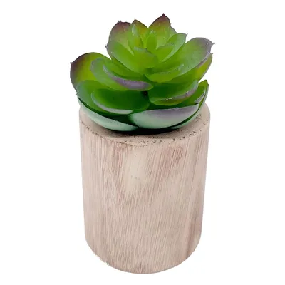 Lotus with Brown Wooden Planter