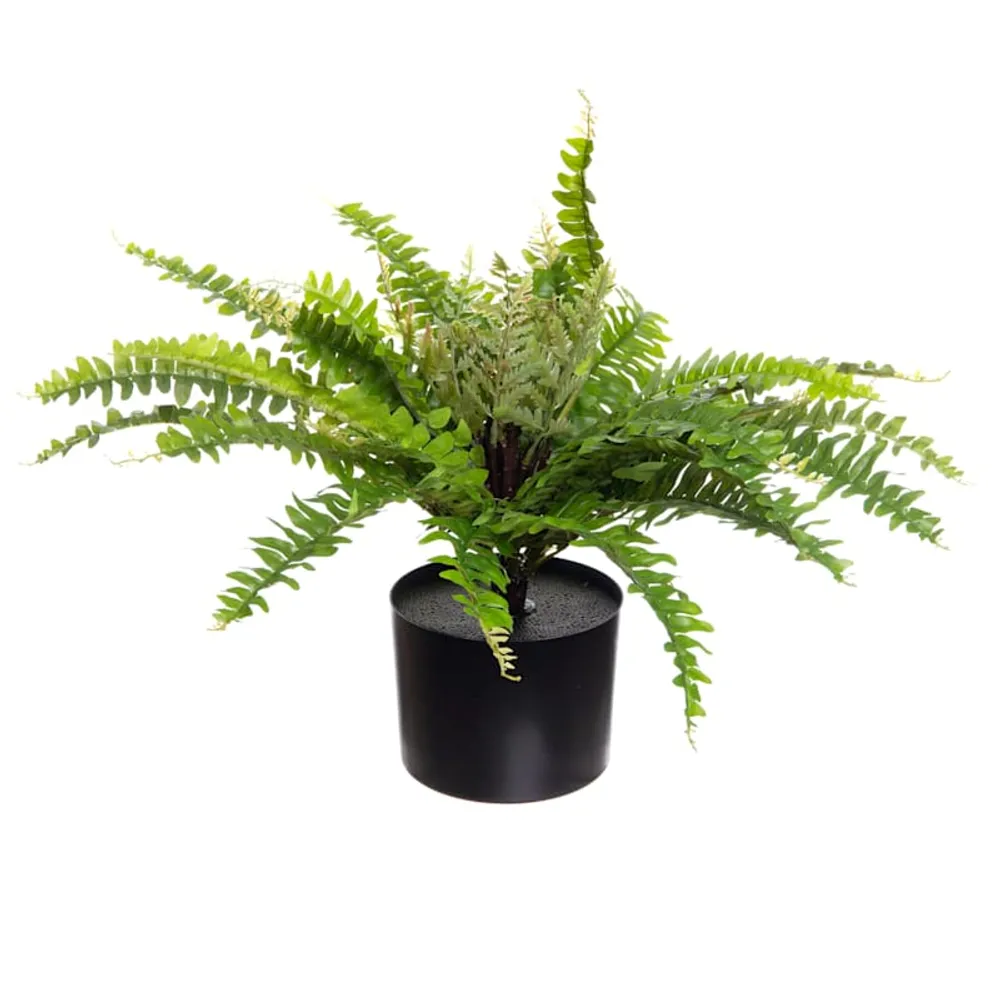 Potted Green Fern Plant, 24"