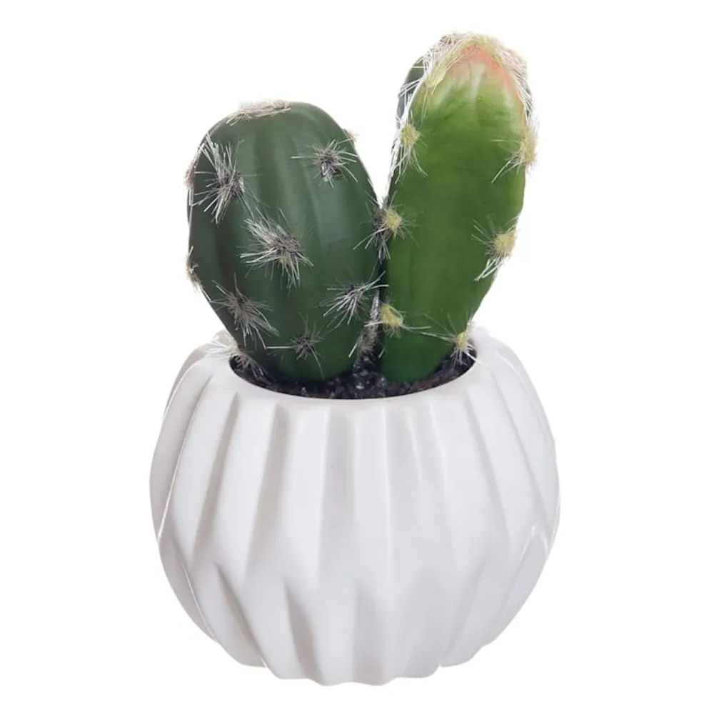 Cactus with White Ceramic Planter, 4.5"