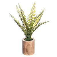 Fern in Wooden Pot, 10"