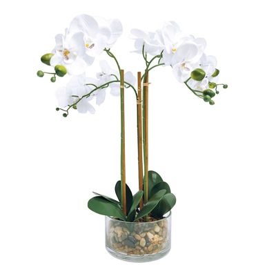Orchid Flower with Glass Planter, 21"