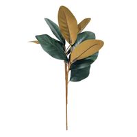 Magnolia Leaf Spray