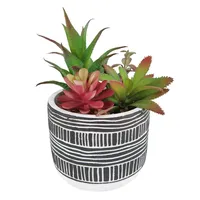 Succulent Arrangement Blue Cement Pot, 7.5"