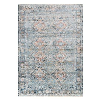 B652) Genevieve Distress Look Red & Blue Area Rug