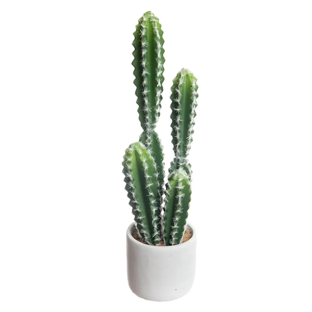 Cactus in White Pot, 18"