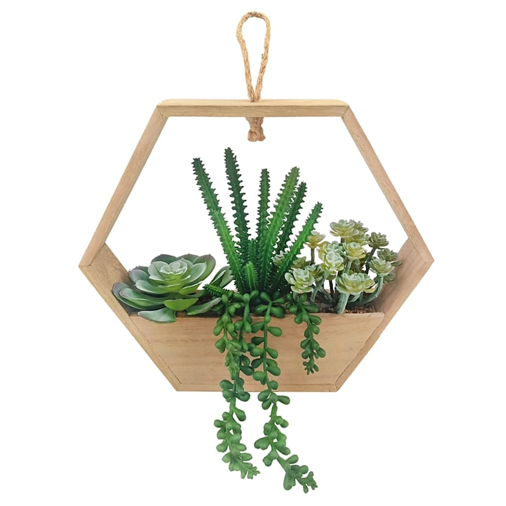 Succulent Arrangement with Wooden Box Planter, 9"