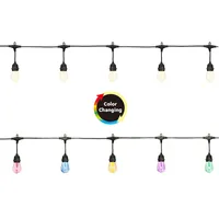 10-Count 8-Function Color Changing Edison Bulb String Light Set