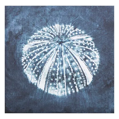 Navy Blue Sea Urchin Shell Canvas Wall Art, 14"