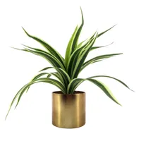 Variegated Greenery in Metallic Pot, 10"