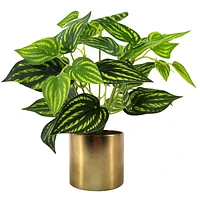 Variegated Leaves in Metallic Pot, 10"