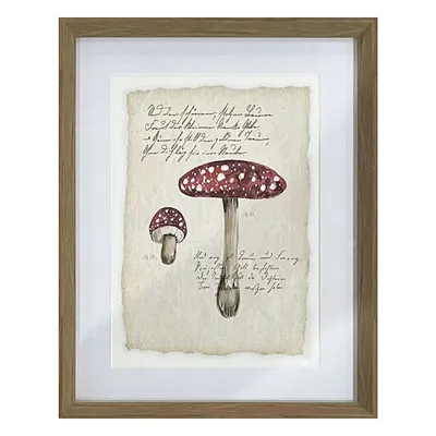 Mushroom Print Wall Art, 13x17