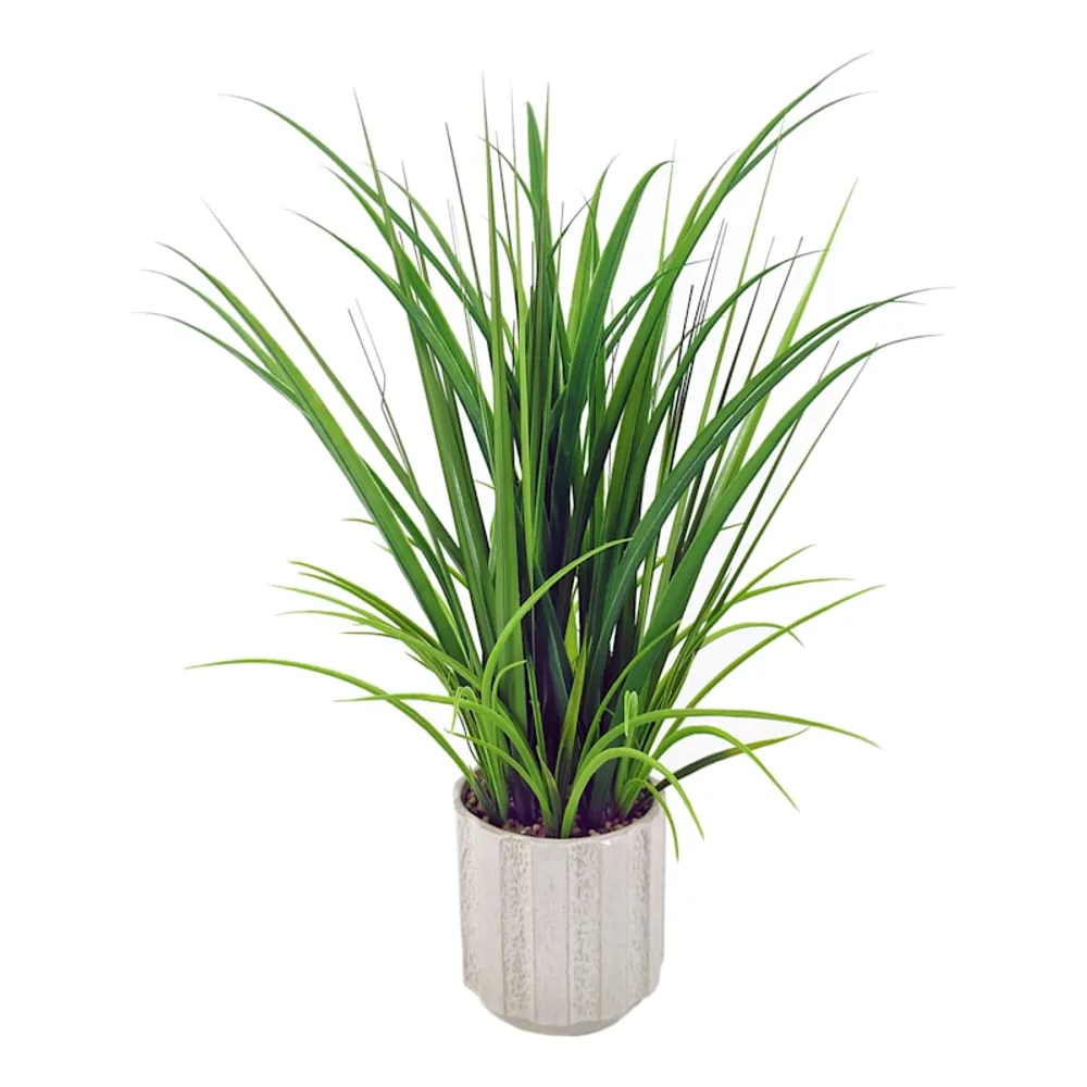 Grass in Ceramic Pot, 30"