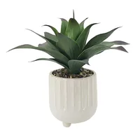 Succulent in Footed Ceramic Pot, 17"