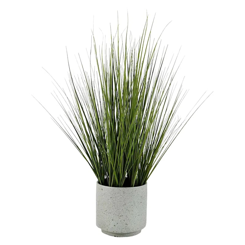 Onion Grass in Cement Pot, 31"