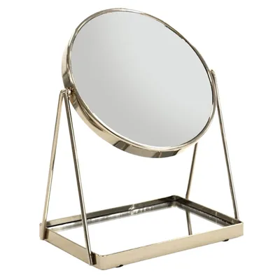 Zoey 5X Vanity Mirror Plus Storage, Satin Nickel