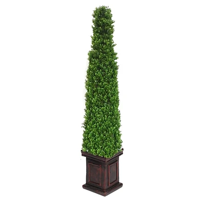 Pyramid Boxwood Topiary Tree