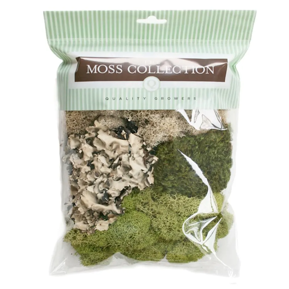 Small Moss Variety Pack